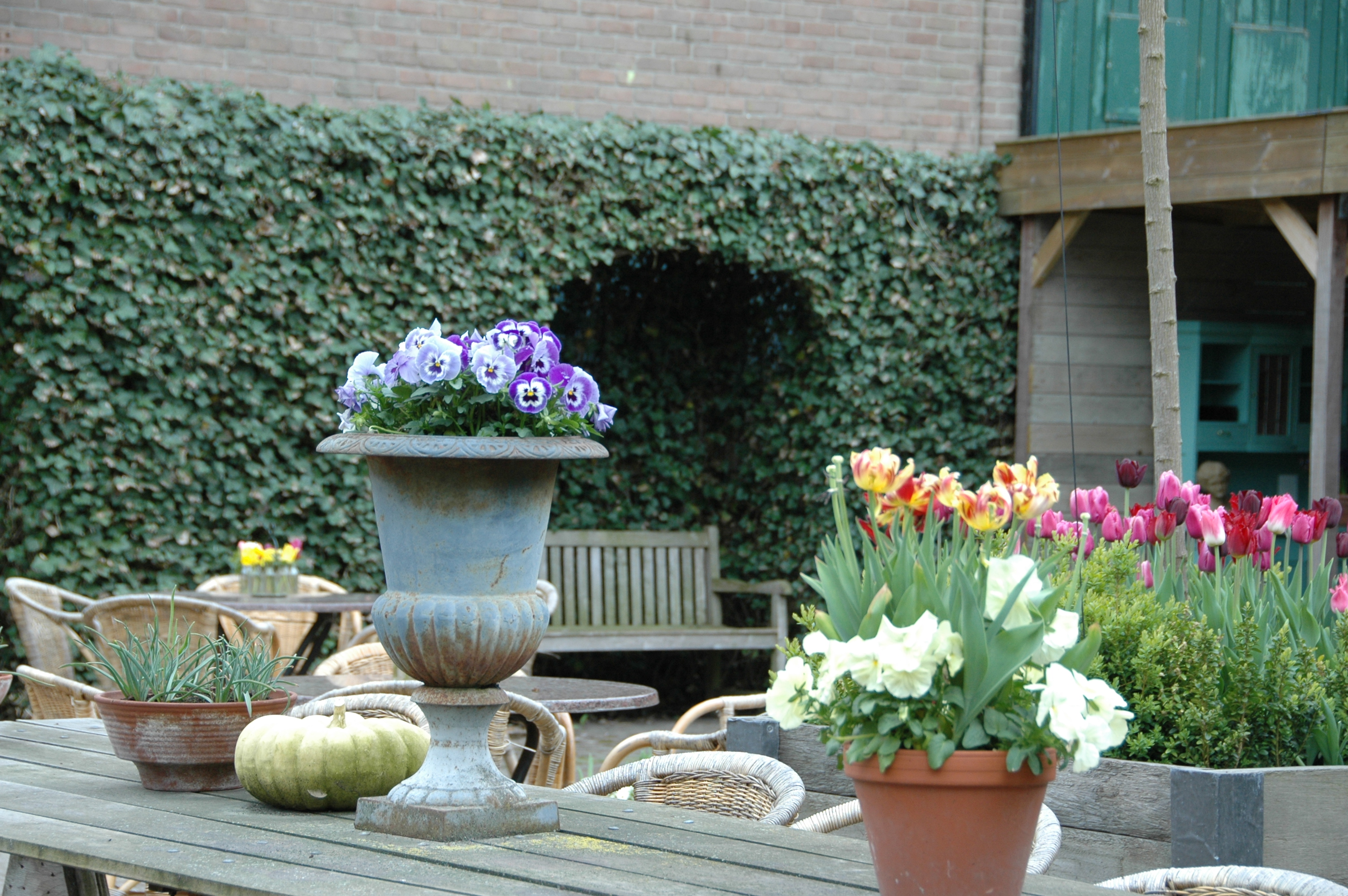 lifestyle winkel sfeerfoto's Elly Kloosterboer-Blok bloemen planten